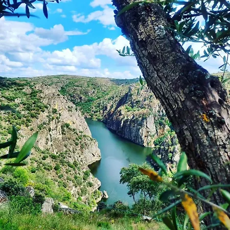 Holiday home Casas Do Abo Fredo *