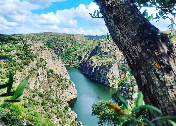 بيت للعطل Casas Do Abo Fredo *